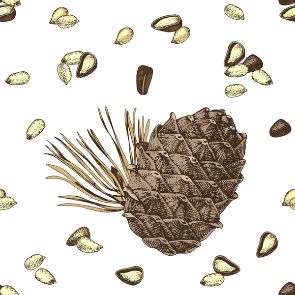 Бесшовный рисунок с кедровой шишкой и кедровыми орехами — стоковый вектор