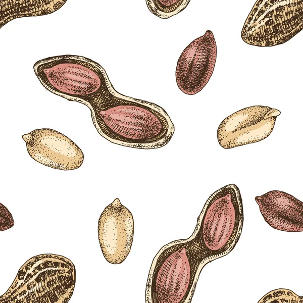 Padrão sem costura com amendoins desenhados à mão — Vetor de Stock
