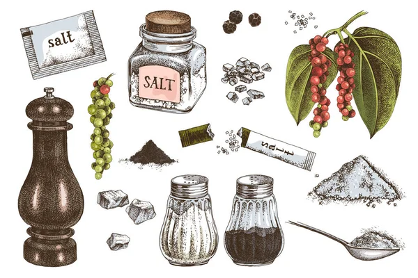 Iconos de sal y pimienta dibujados a mano — Archivo Imágenes Vectoriales