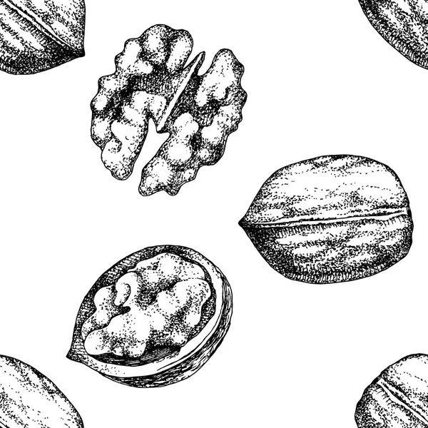 无缝图案与手绘核桃坚果 — 图库矢量图片