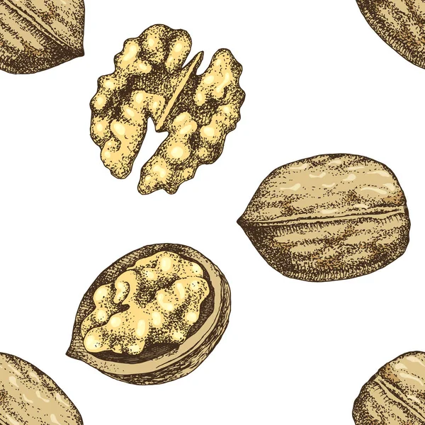 手描きのクルミナッツとシームレスなパターン — ストックベクタ