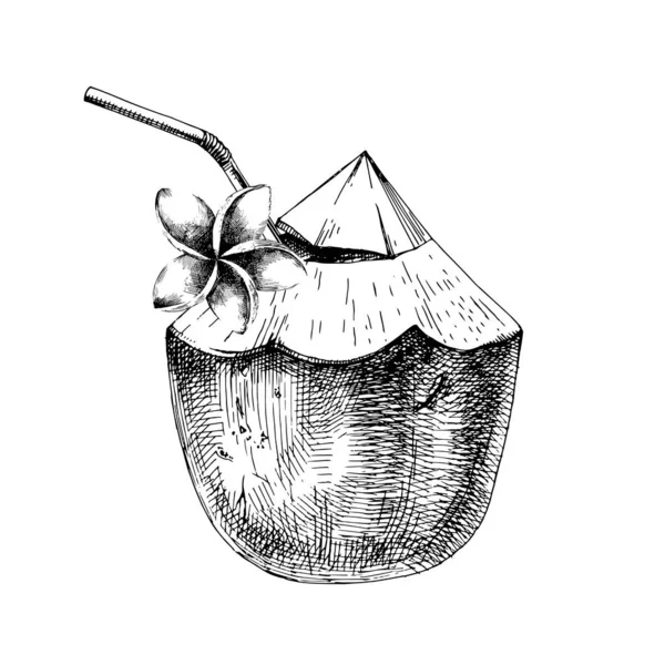 Coco verde con flor de frangipani y paja para beber — Vector de stock