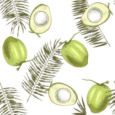 Elle çizilmiş hindistancevizi ve palmiye yaprakları ile Dikişsiz desen