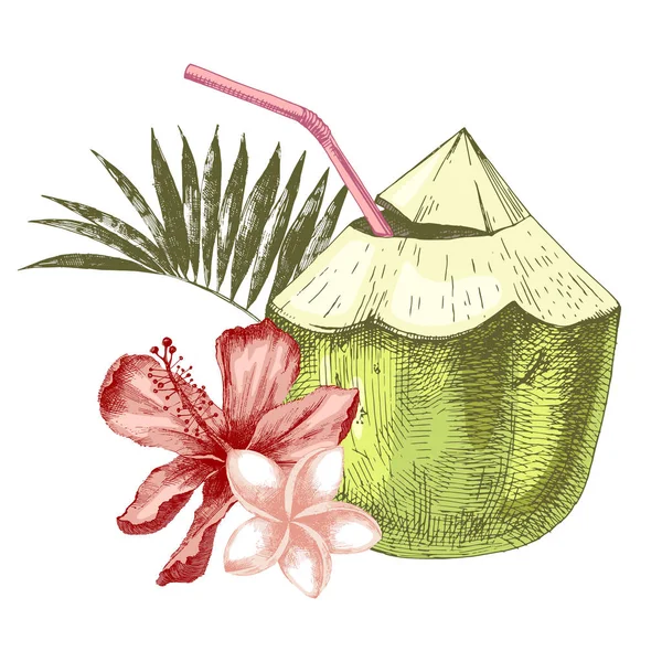 Grön kokosnöt med blommor, palmblad och sugrör — Stock vektor