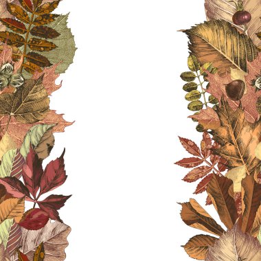 Sonbahar yapraklarından yapılmış dikişsiz kenarlık ile el çizilmiş arka plan