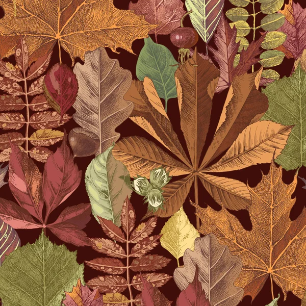 Patrón sin costura dibujado a mano con hojas de otoño — Vector de stock