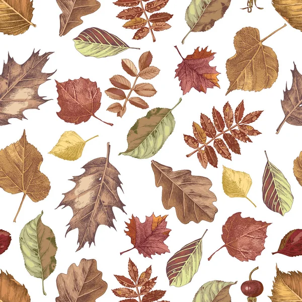 Handgezeichnetes nahtloses Muster mit Herbstblättern — Stockvektor
