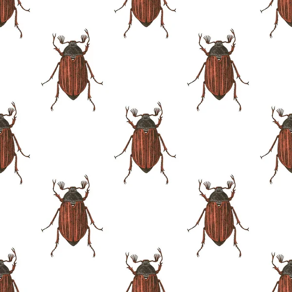 Hand drawn seamless pattern with maybugs — Stock Vector