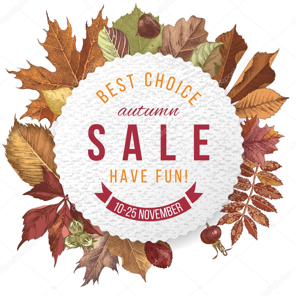 Autumn sale label over background with hand drawn autumn leaves