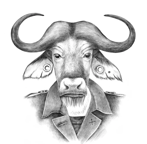 El antropomorfik bufalo giyinmiş çizilmiş — Stok fotoğraf