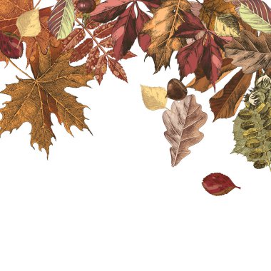 Elle çizilmiş renkli sonbahar yaprakları ile arka plan