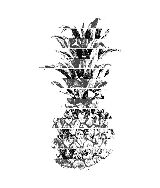 Moderní ilustrace ananasu — Stockový vektor