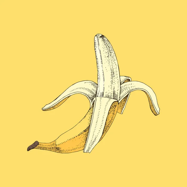 Напівчистий ручний намальований банан — стоковий вектор