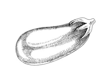 El çizimi siyah beyaz patlıcan