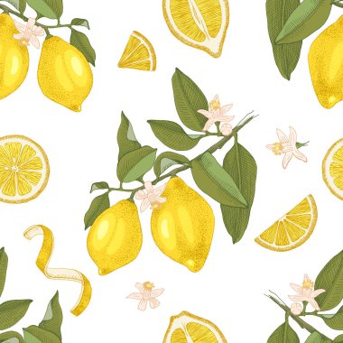 Elle çizilmiş limonlu, pürüzsüz desen
