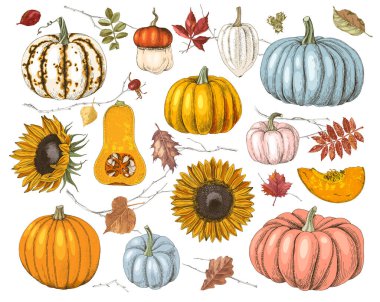 Elle çizilmiş sonbahar koleksiyonu