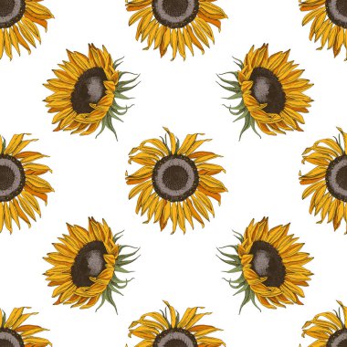 Ayçiçekleri ile el çizimi kusursuz desen