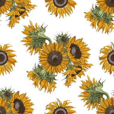 Ayçiçekleri ile el çizimi kusursuz desen