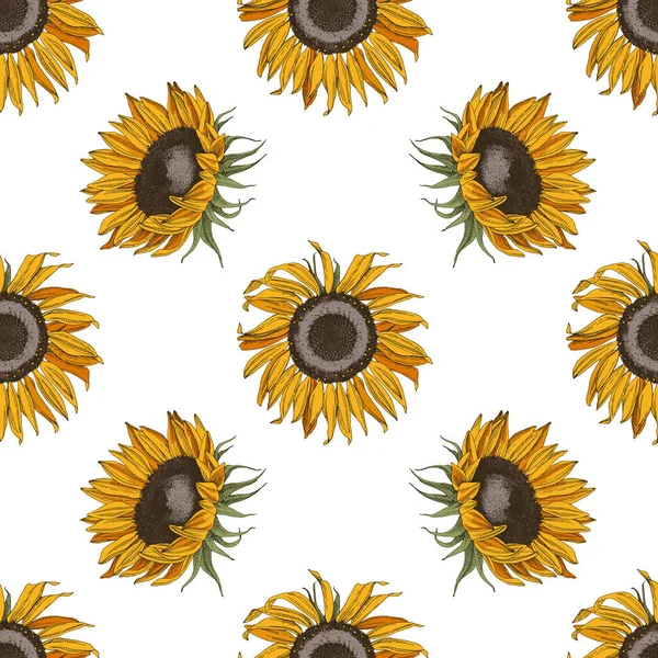 Ayçiçekleri ile el çizimi kusursuz desen