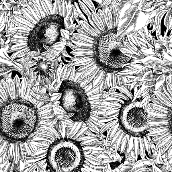 用向日葵手绘无缝图案 — 图库矢量图片