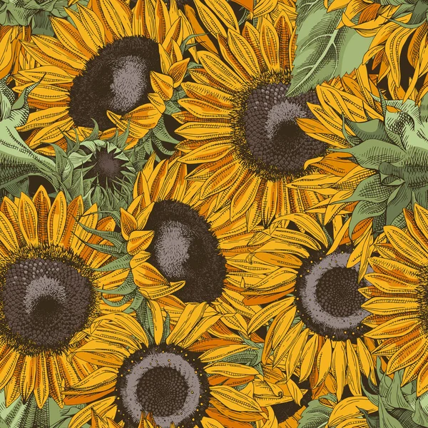 Tangan digambar pola mulus dengan bunga matahari - Stok Vektor
