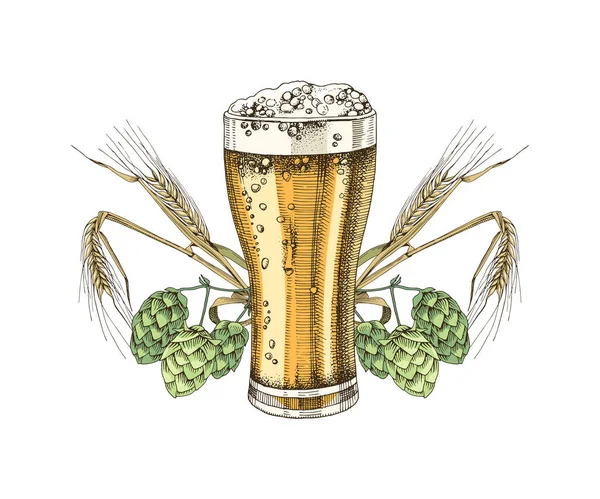 Bicchiere disegnato a mano di birra — Vettoriale Stock