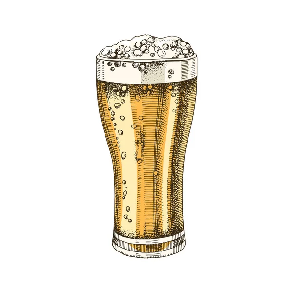 Handgetrokken glas bier — Stockvector