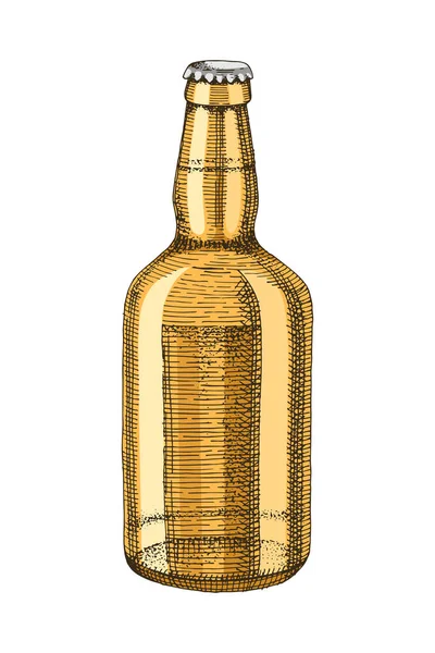 Hand drawn beer bottle — Stock Vector