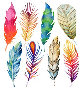 Kuş tüyleri kümesi. Sakin ol. Suluboya çizimi. Doğal unsurlar. Tropical.Isolated nesneler üzerinde beyaz bir arka plan.