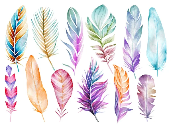 Set Bird Feathers Ease Watercolor Drawing Natural Elements Pastel Shades — Stock Photo, Image