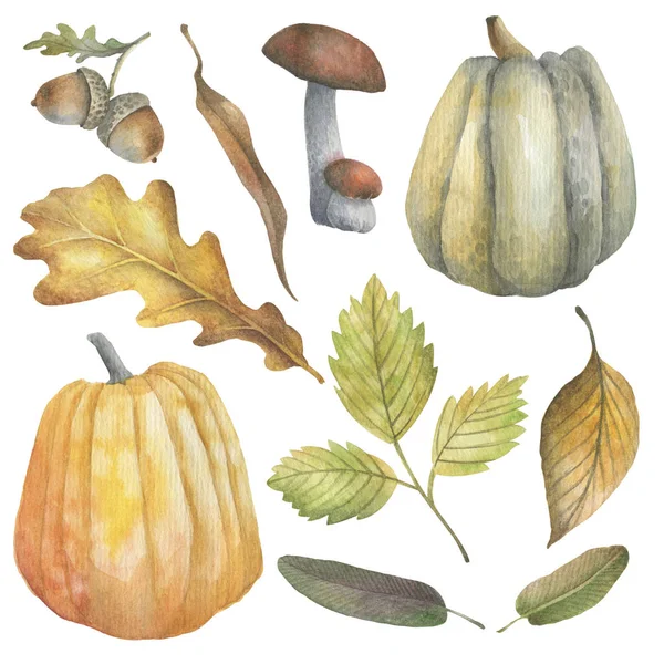 Eine Reihe Herbstlicher Elemente Pilze Beeren Fallende Blätter Beeren Und — Stockfoto