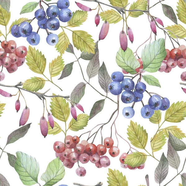 Nahtloses Aquarellmuster Roter Und Blauer Beeren Auf Zweigen Mit Blättern — Stockfoto