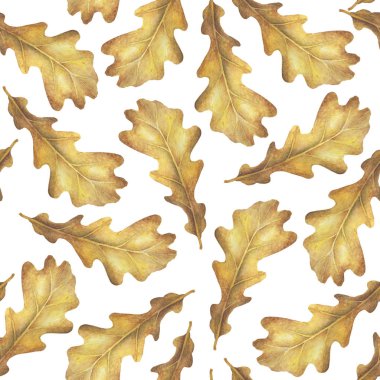 Meşe yaprakları dikişsiz suluboya sonbahar deseni. Beyaz arka plan üzerinde yalıtılmış nesneler.