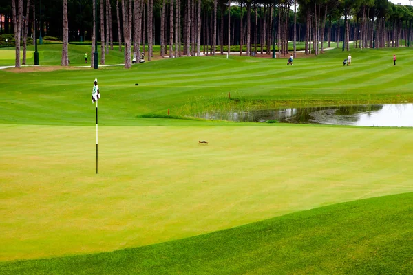 Yağmurlu bir günde golf sahası
