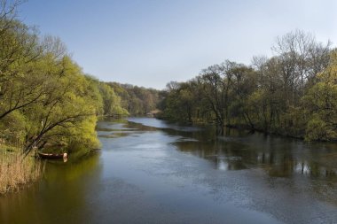 Bir yaz günü, ormanda, ağaçların arasında.