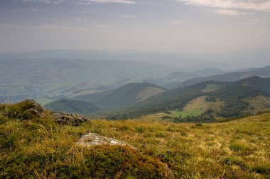 Nehirde sonbahar günü. Peyzaj.
