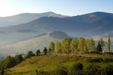Nehirde sonbahar günü. Peyzaj.