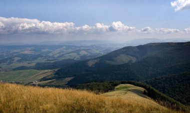 Nehirde sonbahar günü. Peyzaj.