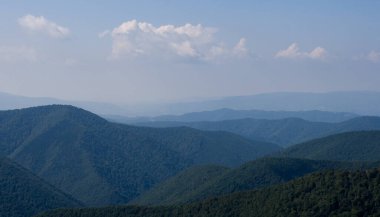 Nehirde sonbahar günü. Peyzaj.