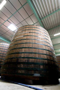 Kilerdeki fıçılar viski, Calvados, konyak, olgunlaşan konyak.