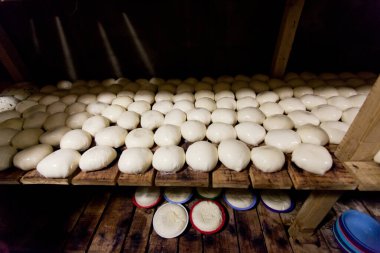 Suluguni peyniri ve feta peyniri süt ürünlerinin bodrumunda raflarda saklanır.