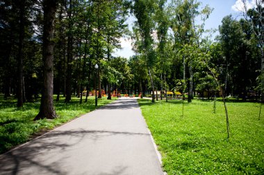 Güneşli bir günde insanların yürüdüğü uzun yeşil ağaçların olduğu parkın sokakları ve yolları.