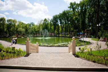 Güneşli bir günde insanların yürüdüğü uzun yeşil ağaçların olduğu parkın sokakları ve yolları.