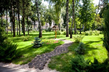 Güneşli bir günde insanların yürüdüğü uzun yeşil ağaçların olduğu parkın sokakları ve yolları.