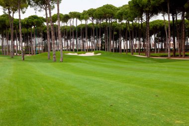 Yağmurlu bir günde golf sahası