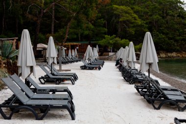 Deniz kenarındaki kumsalda güneşli şezlonglar ve güneşlikler