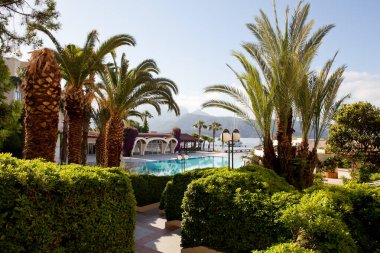 Etrafı egzotik bitkilerle çevrili otel arkadaşları.