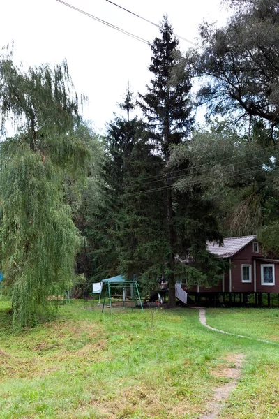 Camping Forest Wooden Huts Tourists — Stock Photo, Image