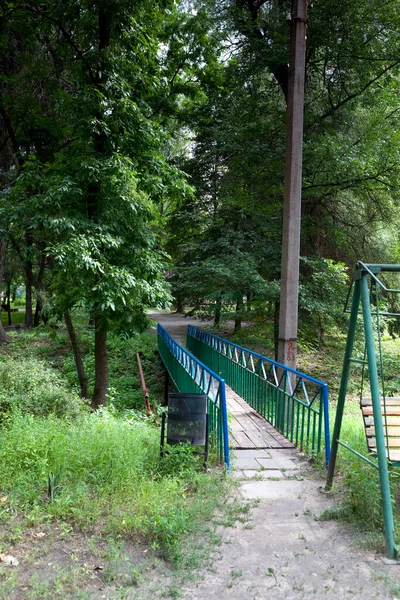 Turistler için ahşap kulübelerle ormanda kamp yapmak.
