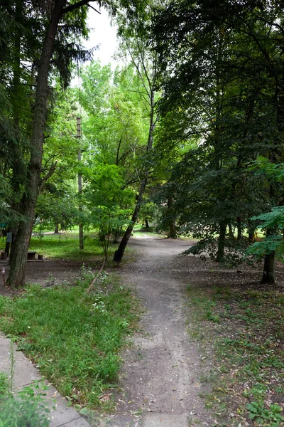 Turistler Için Ahşap Kulübelerle Ormanda Kamp Yapmak — Stok fotoğraf